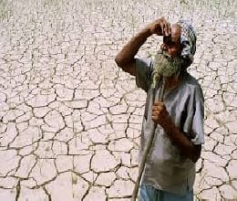 55 per cent of farmers migrating to the Board